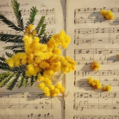 落ち着いた空間で優しく、常識、マナーを兼ね備えた清潔感抜群の美人セラピストに心も身体も癒されてください。