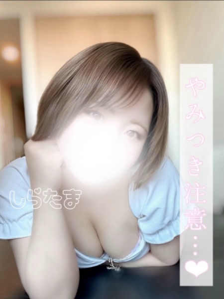 しらたま　新人割引対象